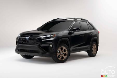 Toyota RAV4 Woodland 2023